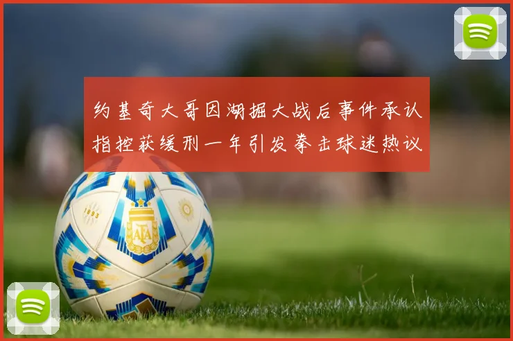 约基奇大哥因湖掘大战后事件承认指控获缓刑一年引发拳击球迷热议