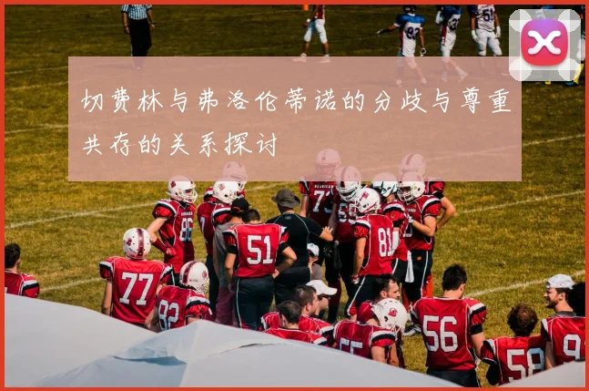 切费林与弗洛伦蒂诺的分歧与尊重共存的关系探讨