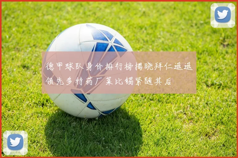 德甲球队身价排行榜揭晓拜仁遥遥领先多特药厂莱比锡紧随其后