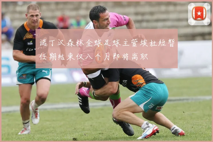 诺丁汉森林全球足球主管埃杜短暂任期结束仅八个月即将离职