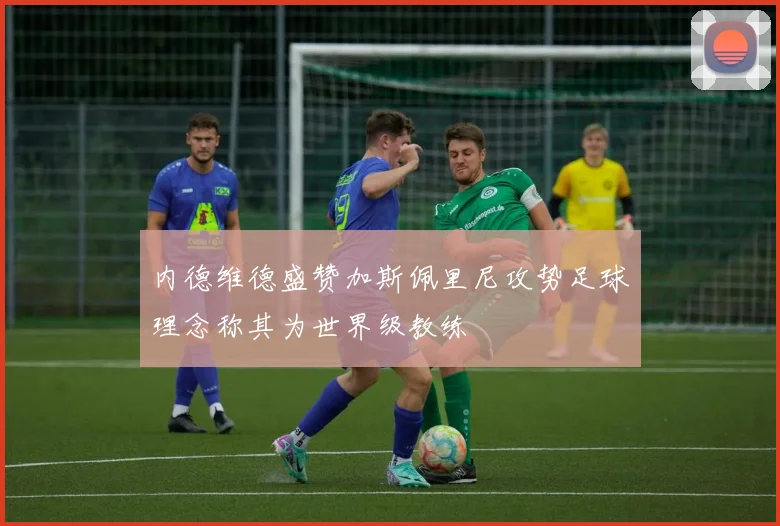 内德维德盛赞加斯佩里尼攻势足球理念称其为世界级教练