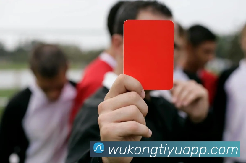 悟空体育发展历程